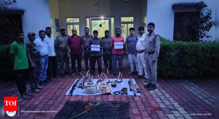 AI-based cameras help nab 80% of all poachers in last 2 years: STR authorities | Bhubaneswar News