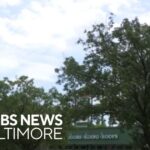 Technology leads Maryland detective to breaking up a multi-state crime ring