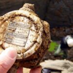 Indian researchers develop AI to detect industrial corrosion