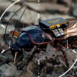 Germany bets on AI robots, drones, and biotech to lead future wars