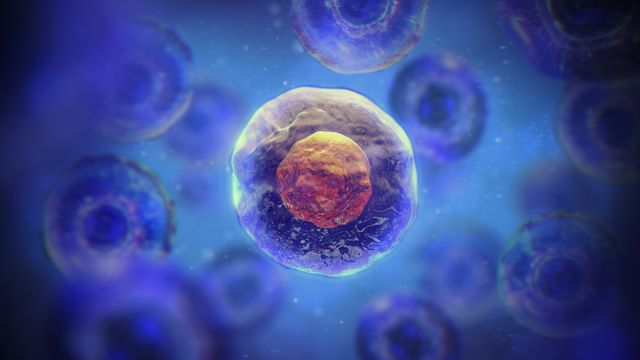 Adherent Cell Culture Tech for Modern Biomanufacturing Adherent Cell Culture Tech for Modern Biomanufacturing